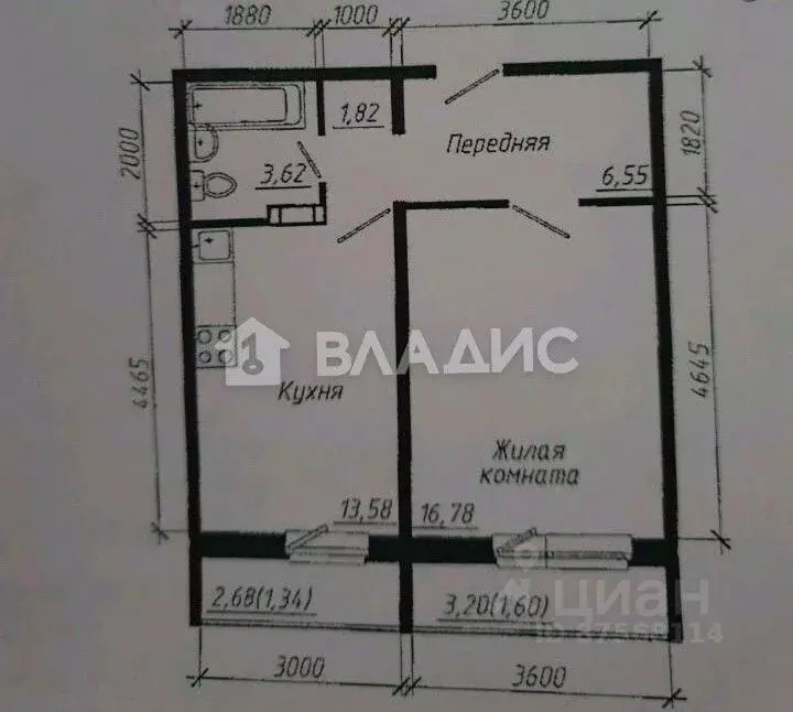 1-к кв. Новосибирская область, Новосибирск ул. Фадеева, 66/5 (48.0 м) - Фото 1