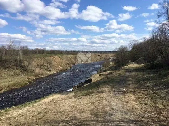 Участок в Ленинградская область, Волховский район, Вындиноостровское ... - Фото 0