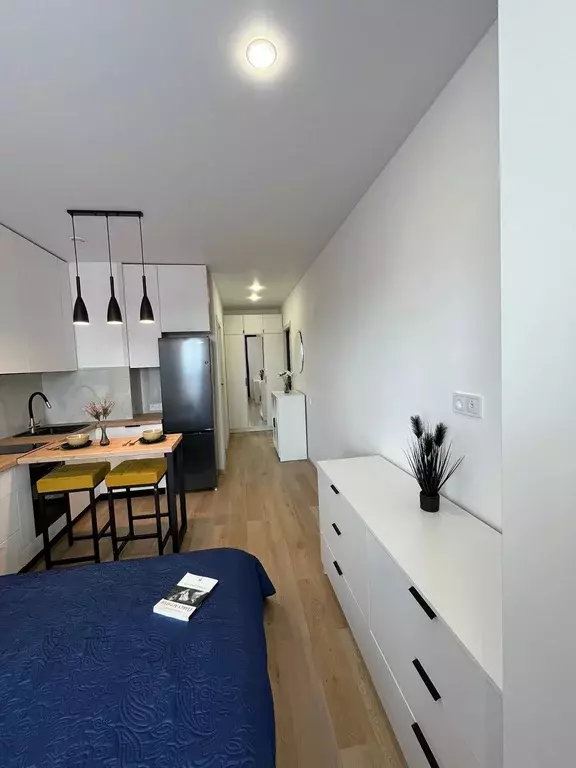 Продаётся квартира-студия, 26.8 м - Фото 1