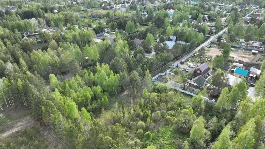 Участок 20 сот. (СНТ, ДНП) - Фото 0