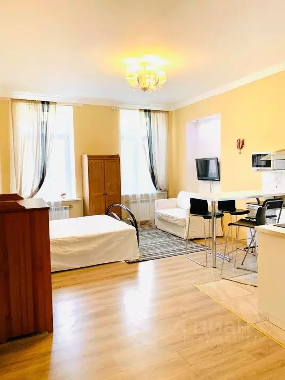 Студия Санкт-Петербург пер. Антоненко, 3 (32.0 м) - Фото 1