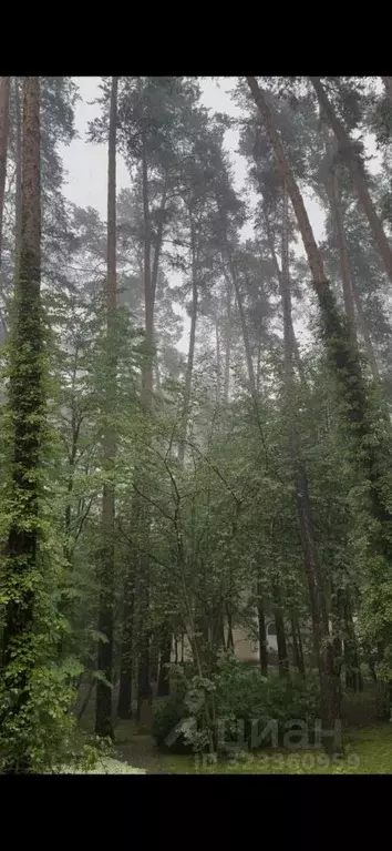 Участок в Московская область, Одинцовский городской округ, пос. ... - Фото 1