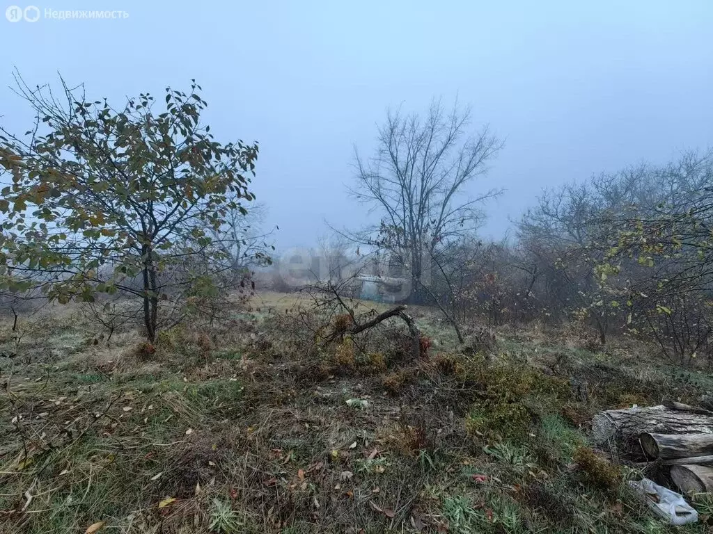 Участок в Аксай, садоводческое товарищество Автомобилист (4 м) - Фото 1