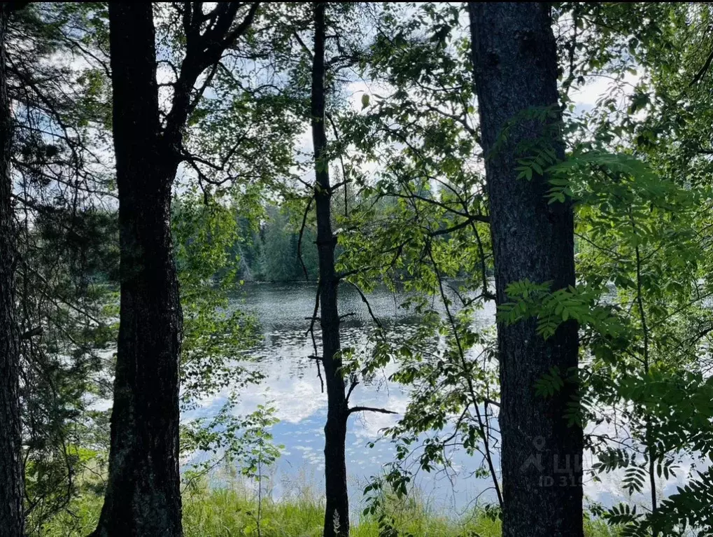 Участок в Ленинградская область, Гатчинский район, Вырица городской ... - Фото 1