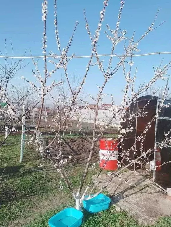 Дом в Белгородская область, Старый Оскол ул. Зои Космодемьянской (130 ... - Фото 1