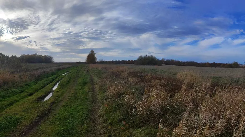 Участок в Новгородская область, Новгородский район, Борковское с/пос, ... - Фото 1