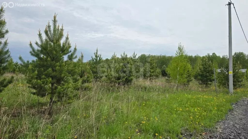 Участок в Тюменский район, село Успенка (18.46 м) - Фото 1