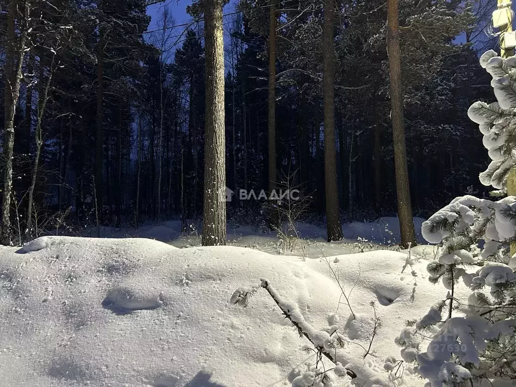 Участок в Бурятия, Прибайкальский район, с. Горячинск ул. Придорожная, ... - Фото 1