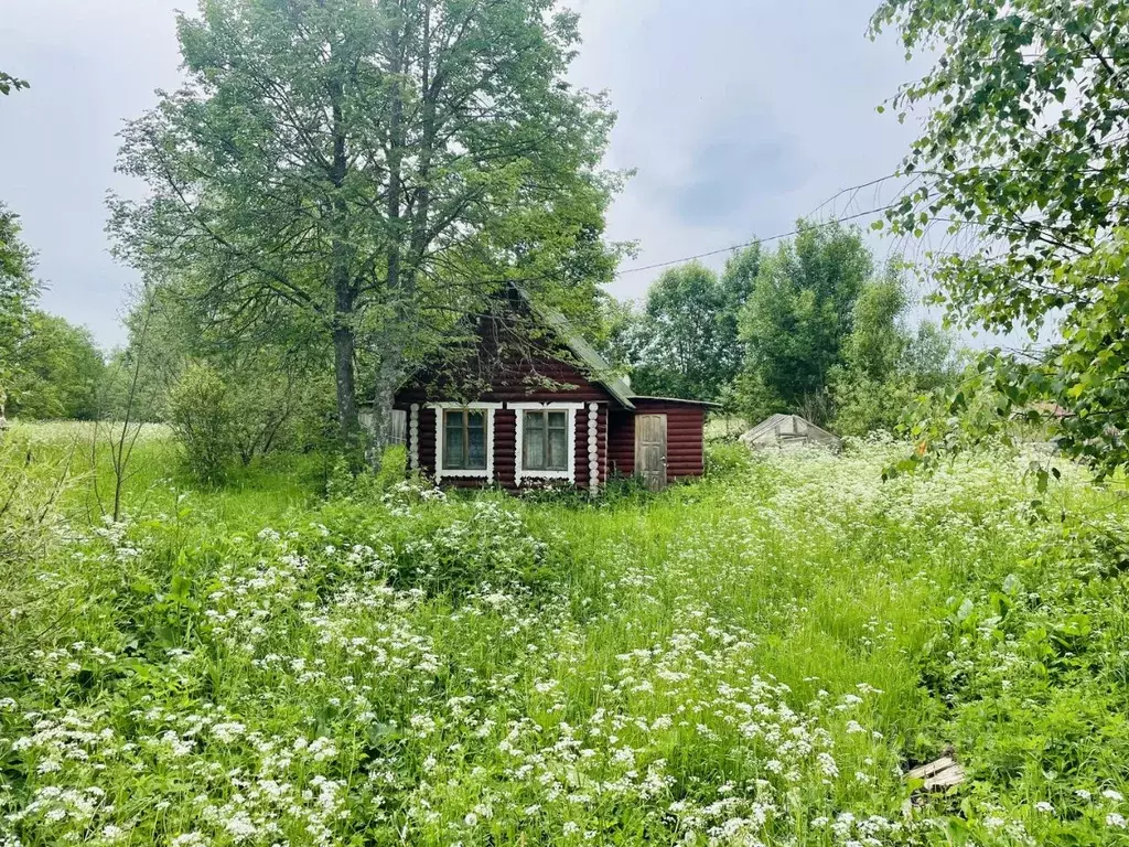 Дом в Новгородская область, Солецкий муниципальный округ, д. Новая ул. ... - Фото 1