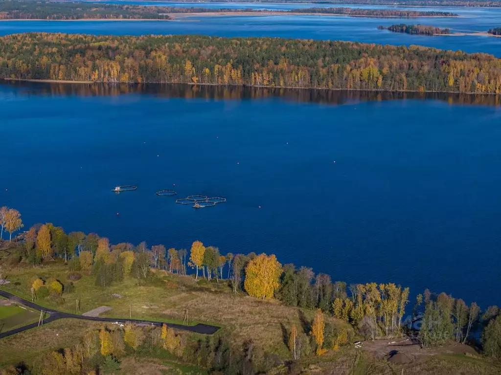 Участок в Ленинградская область, Приозерский район, Громовское с/пос, ... - Фото 1