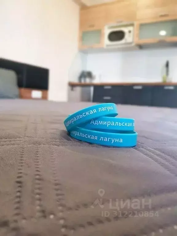 Студия Севастополь ул. Челнокова, 19Ак4 (27.0 м) - Фото 1
