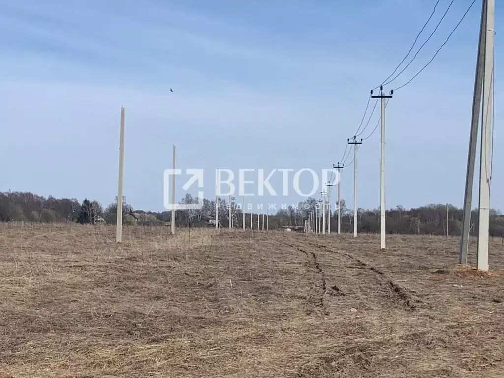 Участок в Костромская область, Костромской район, Никольское с/пос, ... - Фото 2