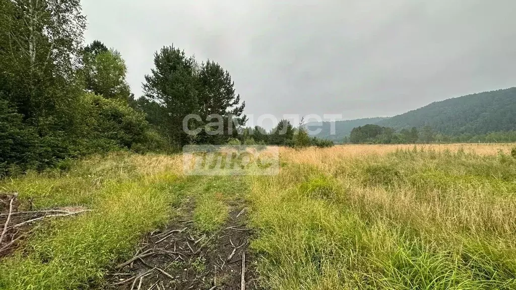 участок в иркутская область, иркутский район, большереченское . - Фото 1