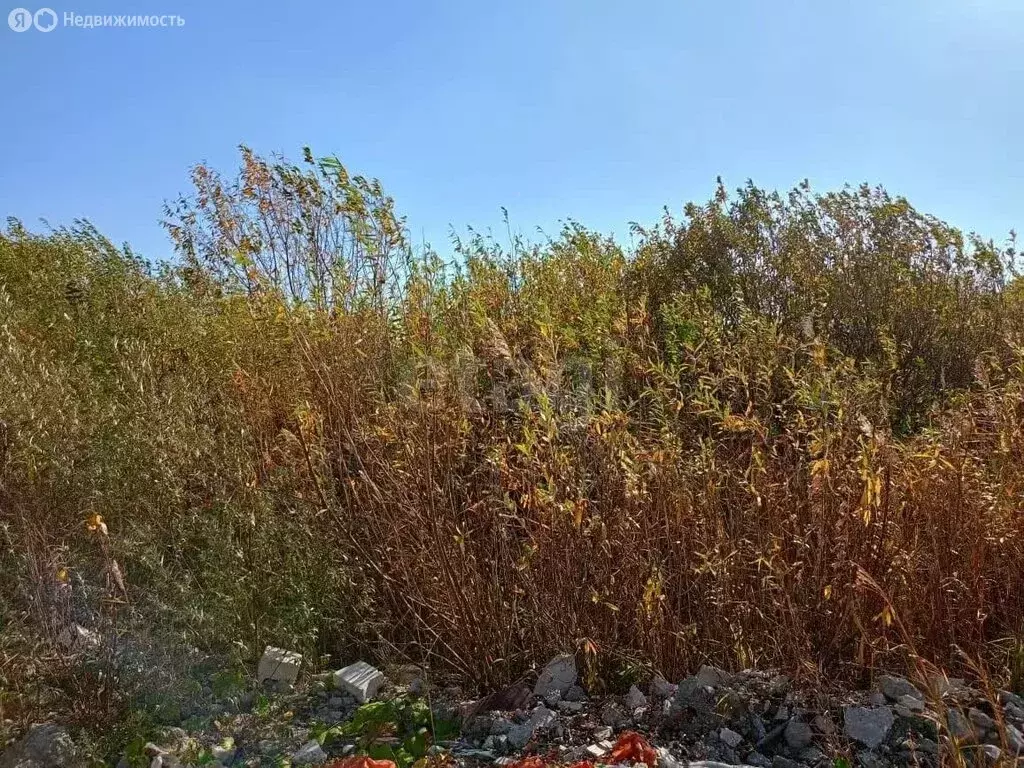 Участок в Тюмень, садоводческое некоммерческое товарищество Матрёшка, ... - Фото 2