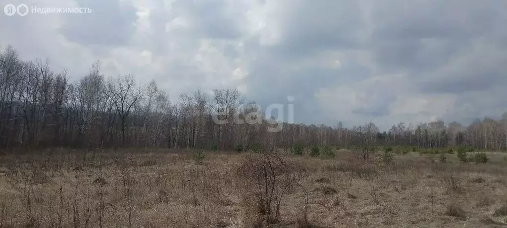 Участок в село Стрелецкое, Речная улица (23.6 м) - Фото 0