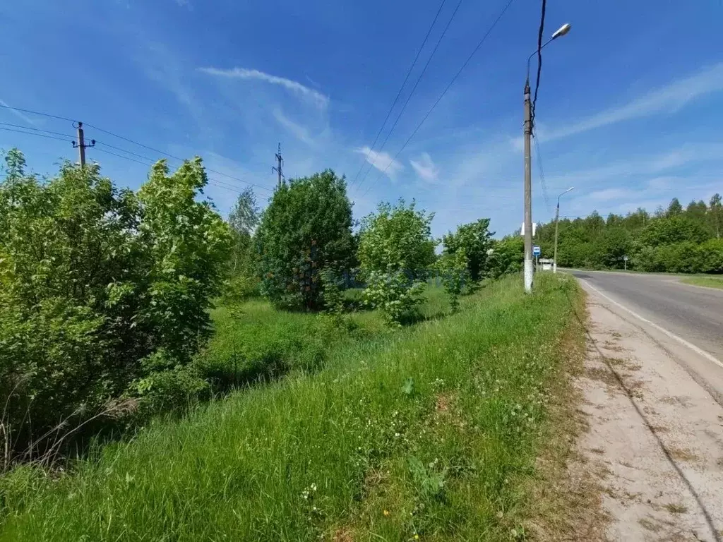 Участок в Нижегородская область, с. Безводное ул. Светлая, 4А (10.0 ... - Фото 2