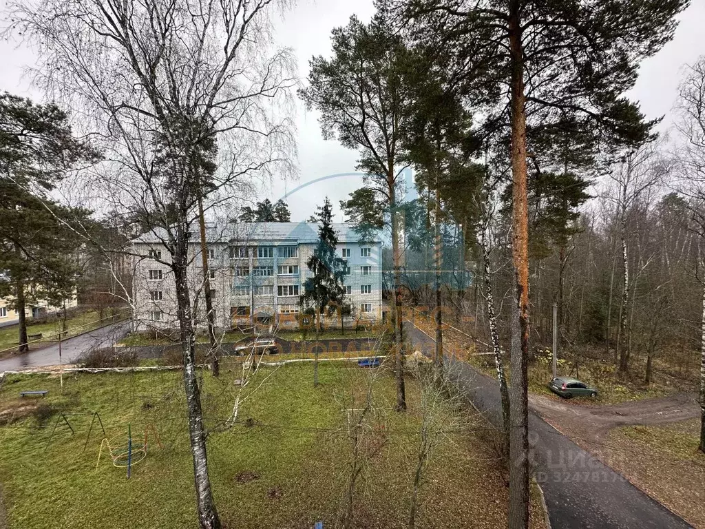 Комната Владимирская область, Муром ул. 30 лет Победы, 9/2 (20.0 м) - Фото 2