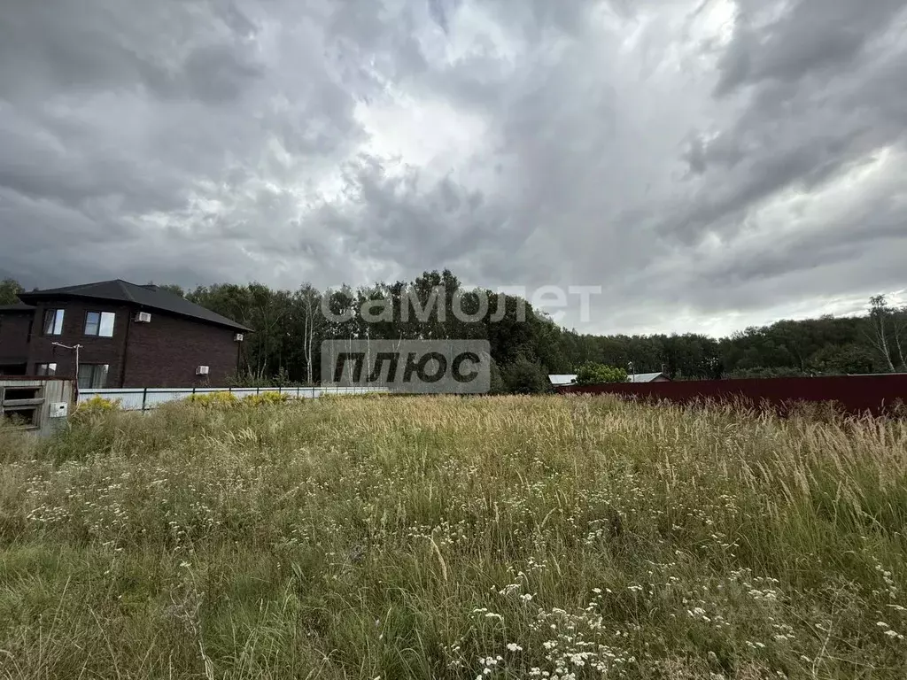 Участок в Рязанская область, Рязанский муниципальный округ, пос. ... - Фото 2