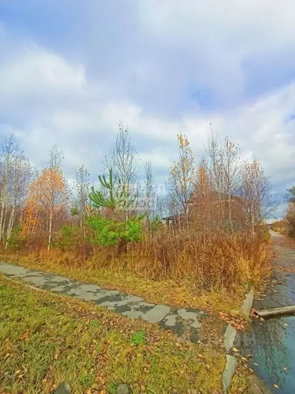 Участок в Нижегородская область, Бор Боталово-4 жилрайон, ул. ... - Фото 2