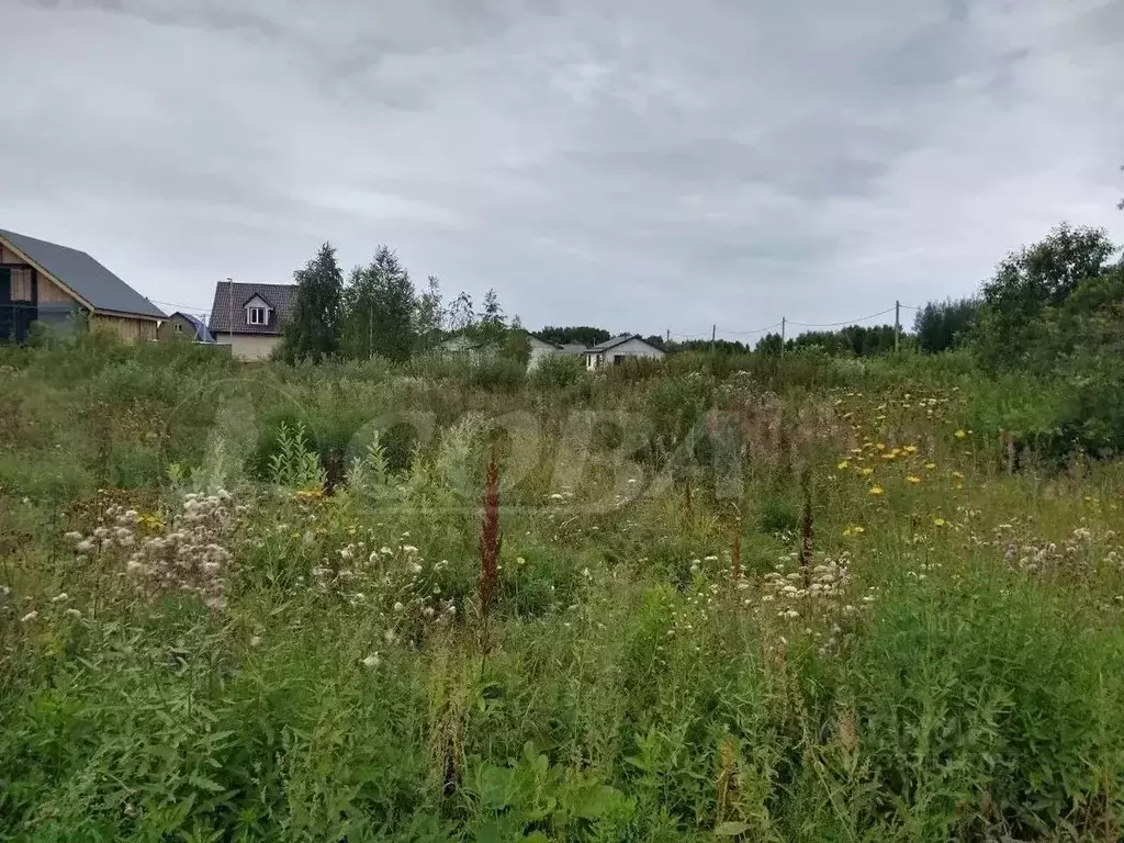 Участок в Тюменская область, Тюмень  (8.0 сот.) - Фото 2