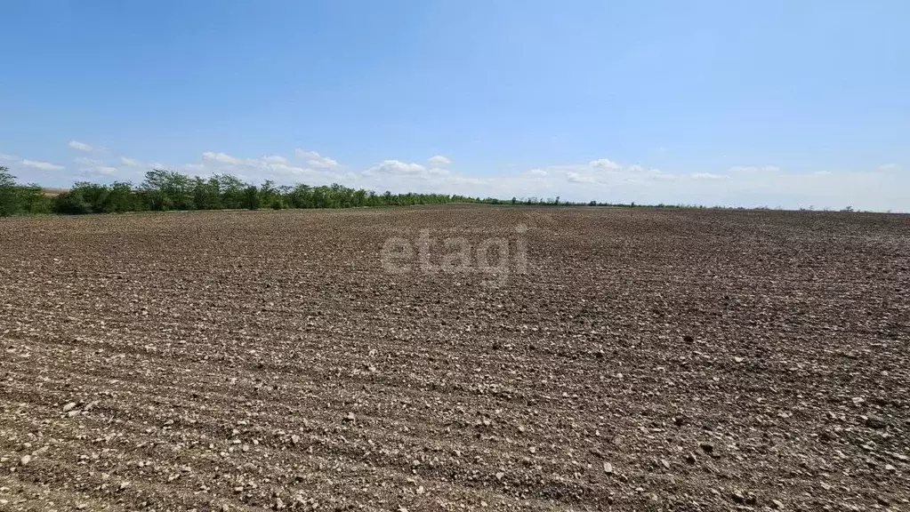 Участок в Крым, Белогорский район, с. Цветочное  (824.9 сот.) - Фото 0