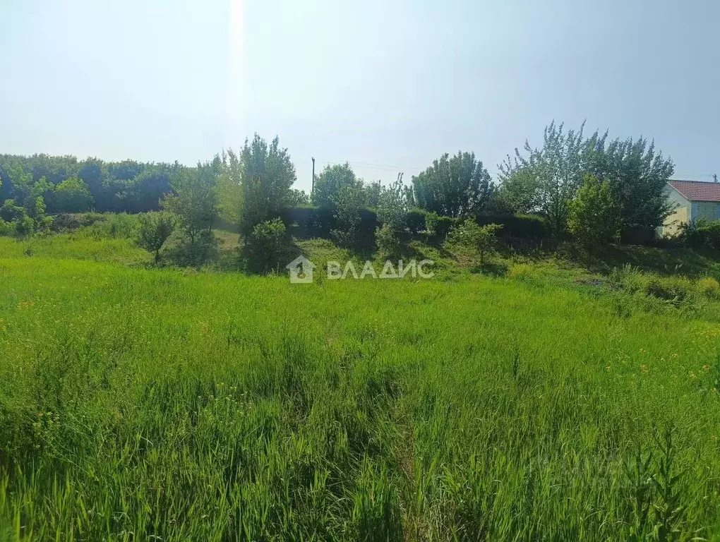 Участок в Воронежская область, Семилукский район, с. Землянск ул. ... - Фото 1