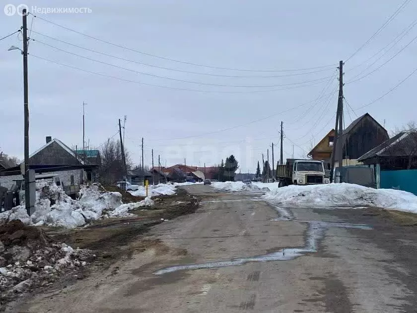 Участок в Тюменская область, Нижнетавдинский муниципальный округ, село ... - Фото 1
