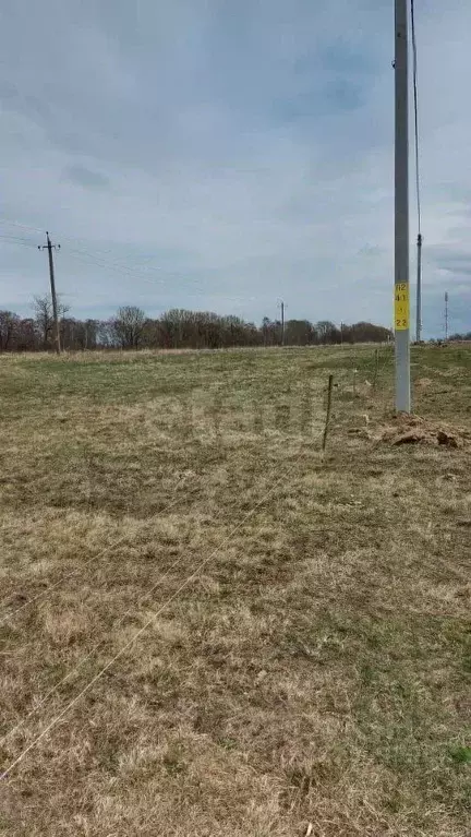 Участок в Калининградская область, Зеленоградский муниципальный округ, ... - Фото 1