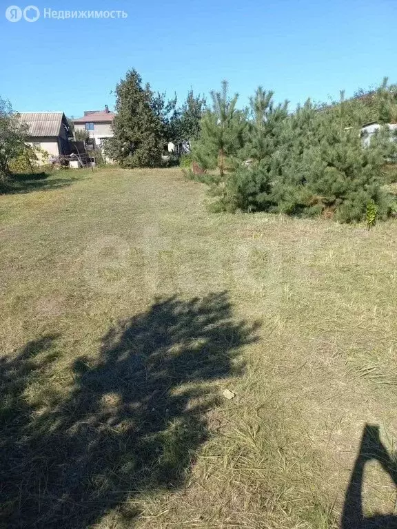 Участок в Рамонский район, Новоживотинновское сельское поселение, СНТ ... - Фото 2