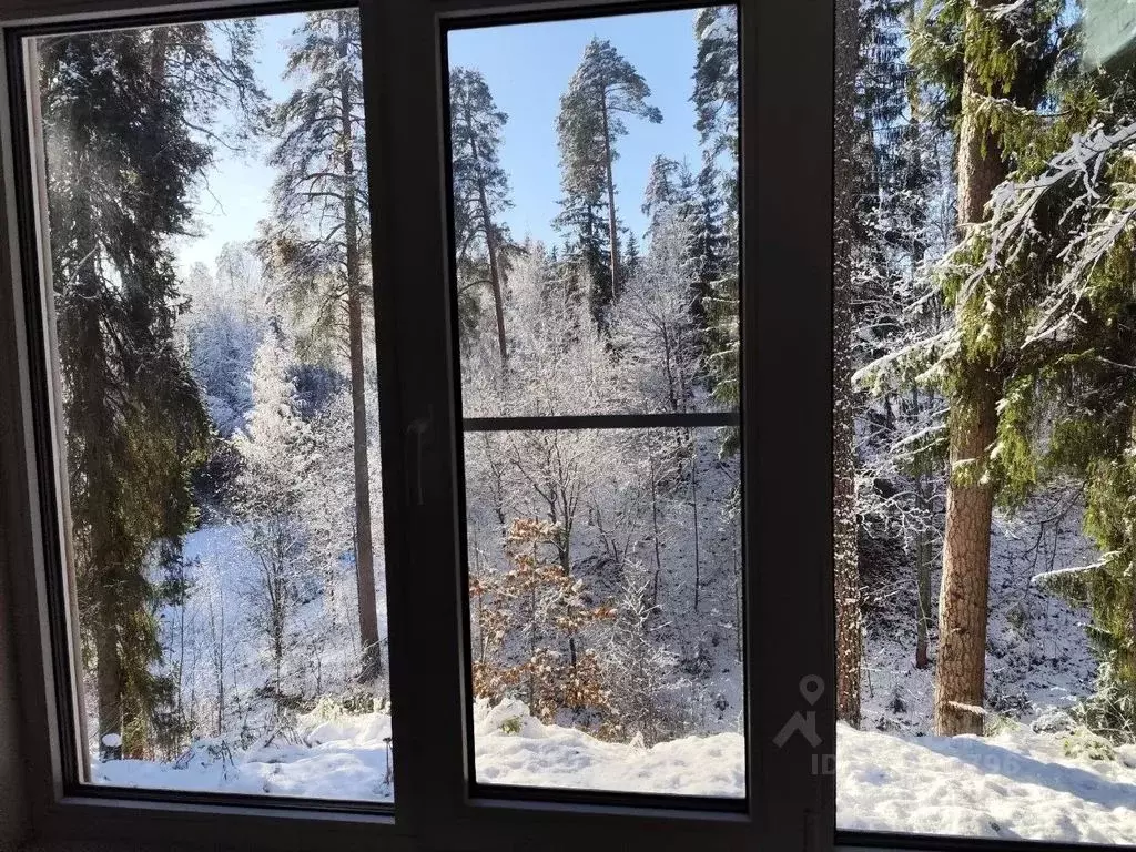 Дом в Ленинградская область, Гатчинский муниципальный округ, Сиверский ... - Фото 2