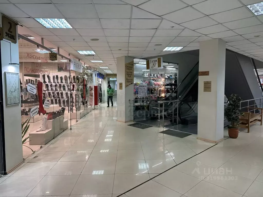 Торговая площадь в Тульская область, Тула ул. Демонстрации, 1Г (33 м) - Фото 0