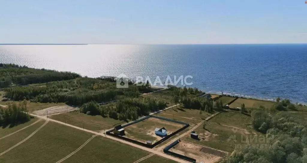 Участок в Ярославская область, Рыбинский муниципальный округ, д. ... - Фото 0