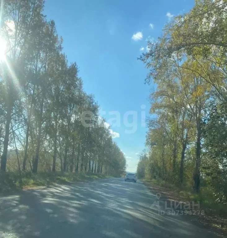 Дом в Свердловская область, Сысертский городской округ, с. Бородулино ... - Фото 1