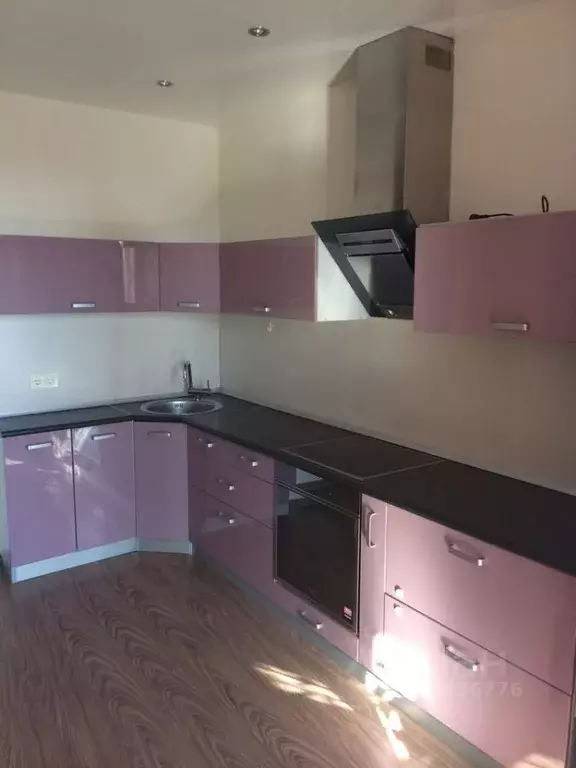 1-к кв. Новосибирская область, Новосибирск Шлюз мкр, ул. Балтийская, ... - Фото 2