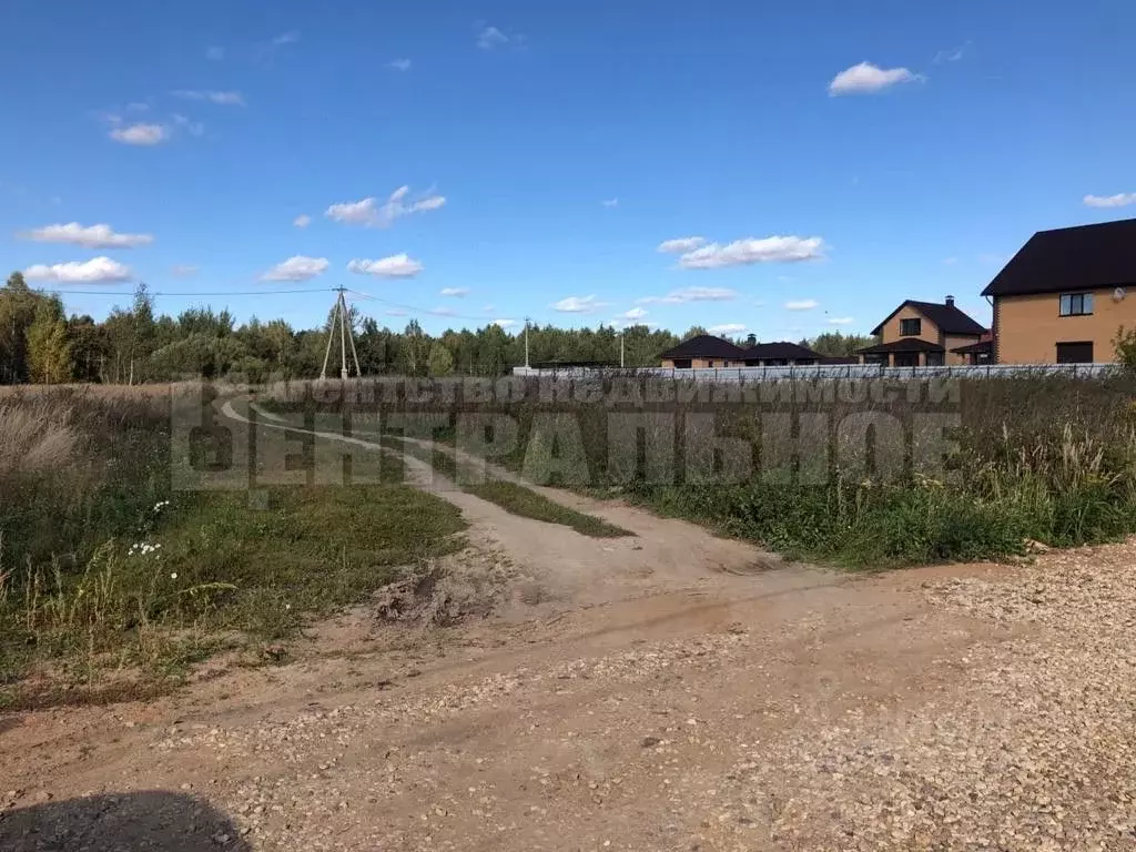 Участок в Смоленская область, Смоленский муниципальный округ, Борок кп ... - Фото 1