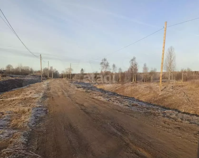 Участок 5,39 га (СНТ, ДНП) - Фото 1