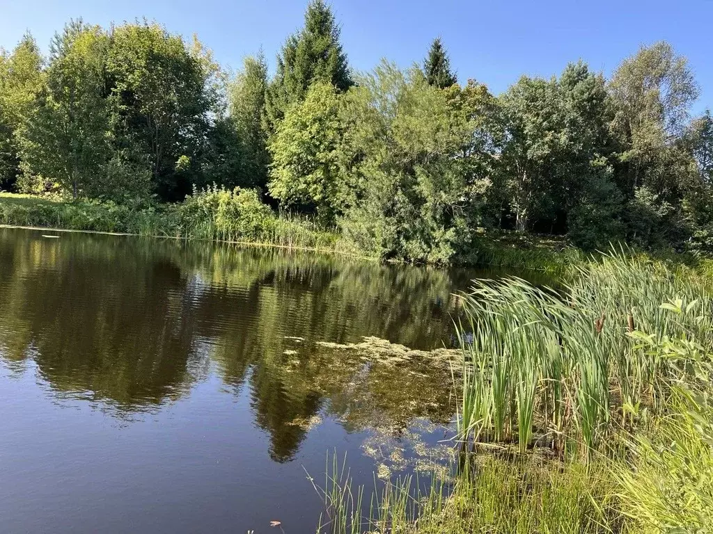 Участок в Московская область, Рузский муниципальный округ, д. Сафониха ... - Фото 2