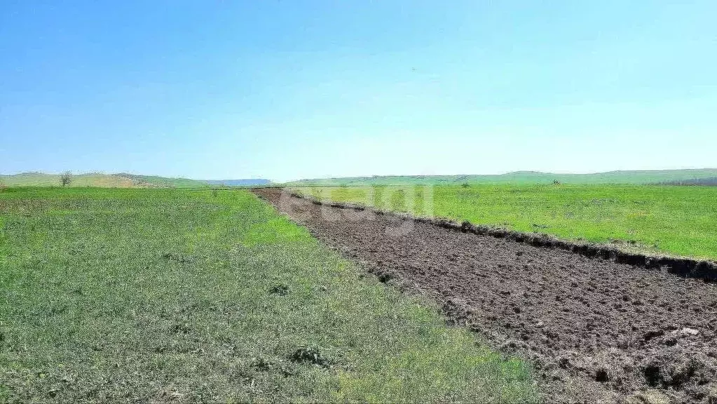 Участок в Ставропольский край, Минераловодский муниципальный округ, ... - Фото 1