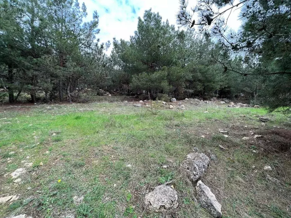 Участок в Севастополь ул. Маршала Кошевого (9.0 сот.) - Фото 1