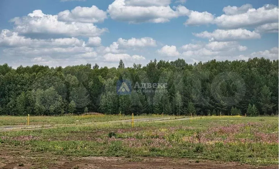 Участок 7,6 сот. (ИЖС) - Фото 1