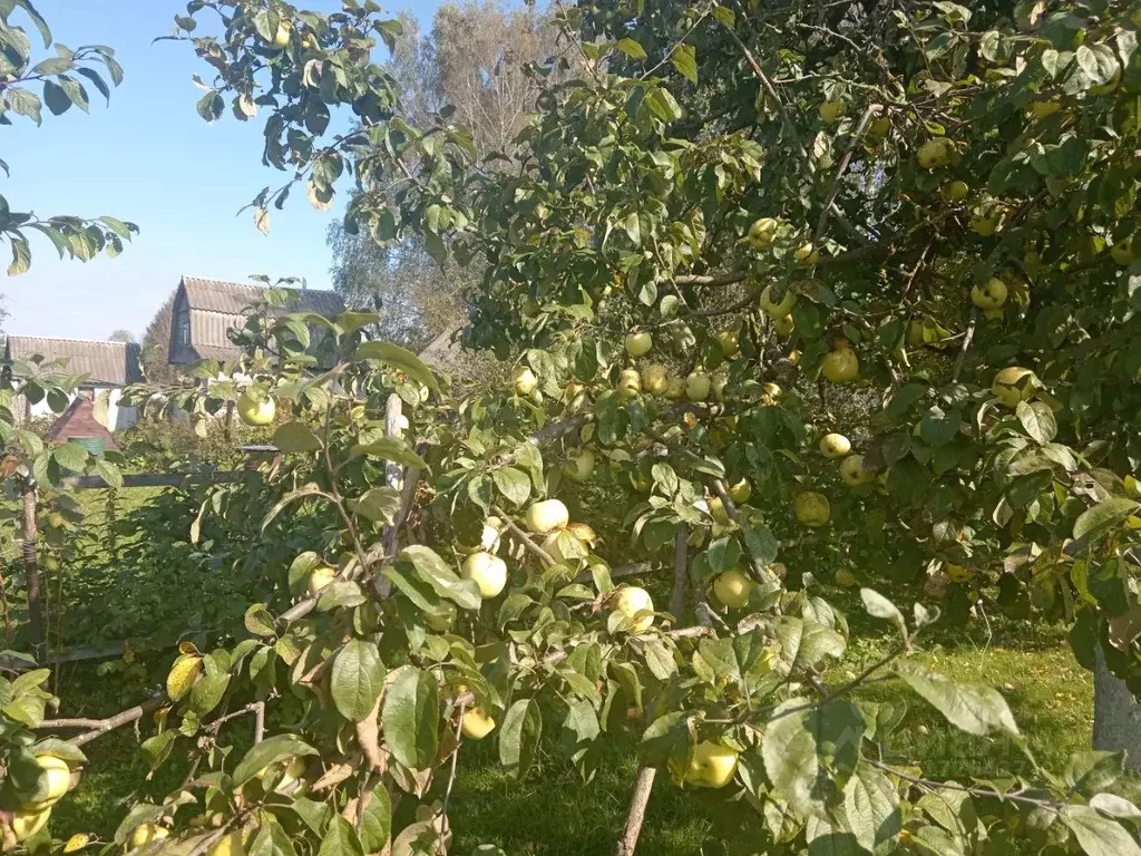 Участок в Тверская область, Конаковский муниципальный округ, д. ... - Фото 2
