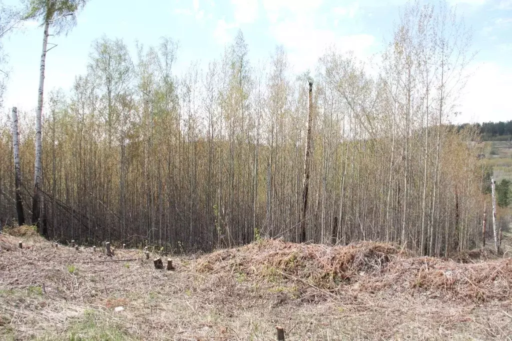 Участок в Иркутская область, Иркутский муниципальный округ, д. ... - Фото 2