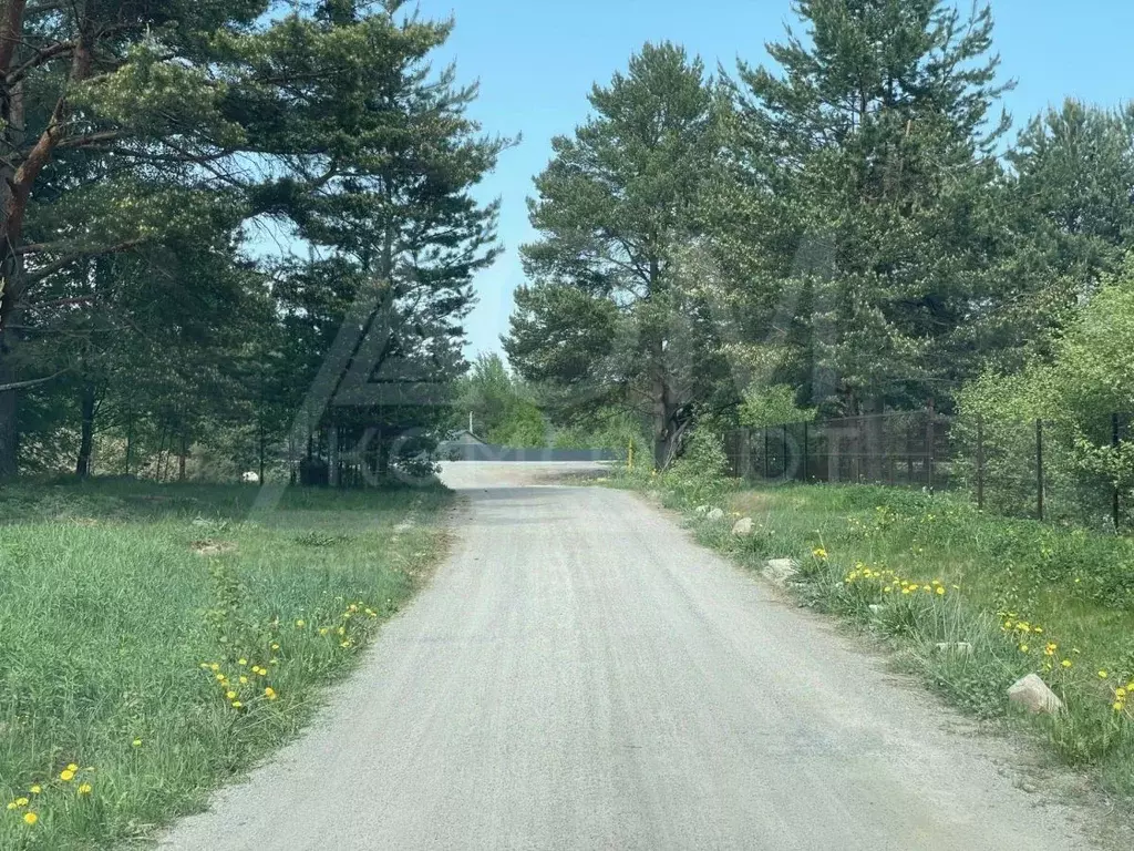 Участок в Ленинградская область, Приозерский район, Ларионовское ... - Фото 2