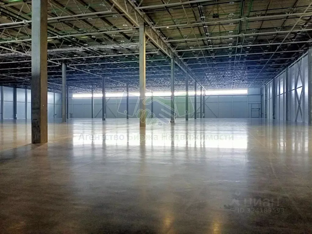 Склад в Новосибирская область, Обь тракт Омский, 4 (22900 м) - Фото 2