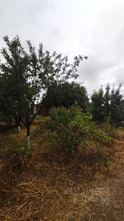 Дом в Ростовская область, Багаевский район, Ажиновское с/пос, Калинин ... - Фото 1