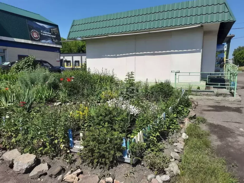 Торговая площадь в Кемеровская область, Ленинск-Кузнецкий ул. ... - Фото 1