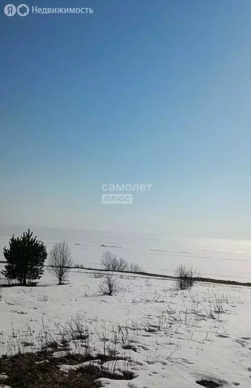 Участок в Ярославская область, Пошехонский муниципальный округ, село ... - Фото 1