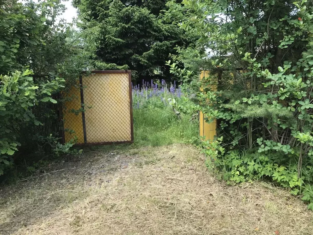 Дом в Ленинградская область, Всеволожский район, Морозовское городское ... - Фото 2