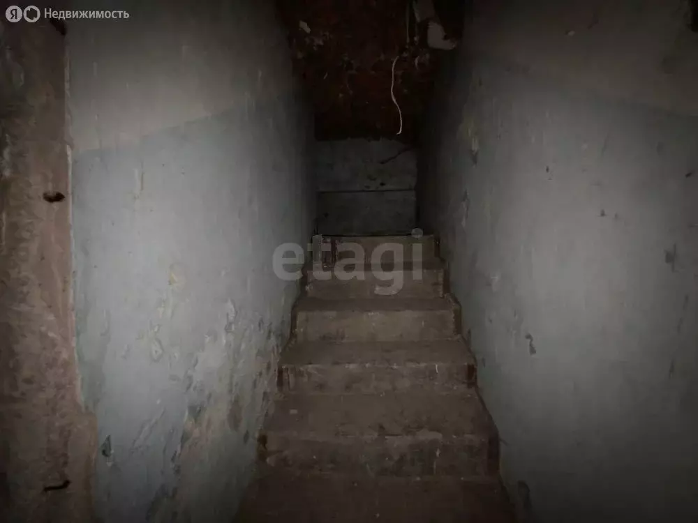 Помещение свободного назначения (537.4 м) - Фото 2