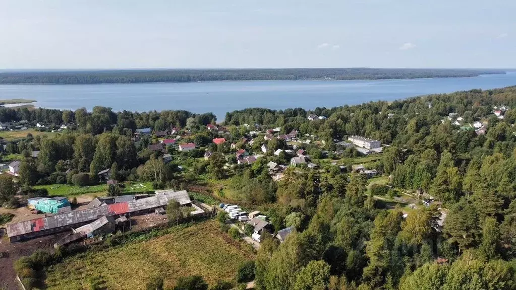 Участок в Ленинградская область, Выборгский район, Рощинское городское ... - Фото 1